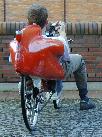 Von Hinten (mit Fahrer)