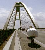 enhydra auf der Fehmarn-Sund-Brücke