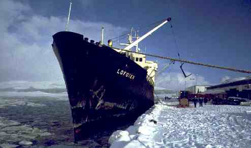 Bild MS Lofoten in
Kirkeness beim Ladungswechsel (13 kB)